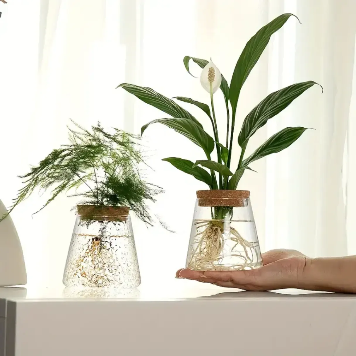 Desktop Borosilicate Glass Terrarium Jar Vase for Home Decoration