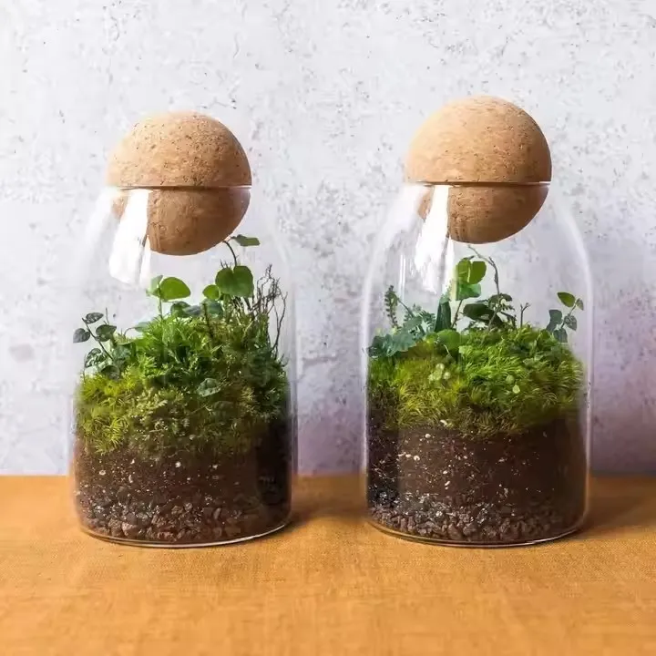Creative Terrarium Hydroponic Plant Vase Succulent Pot Container